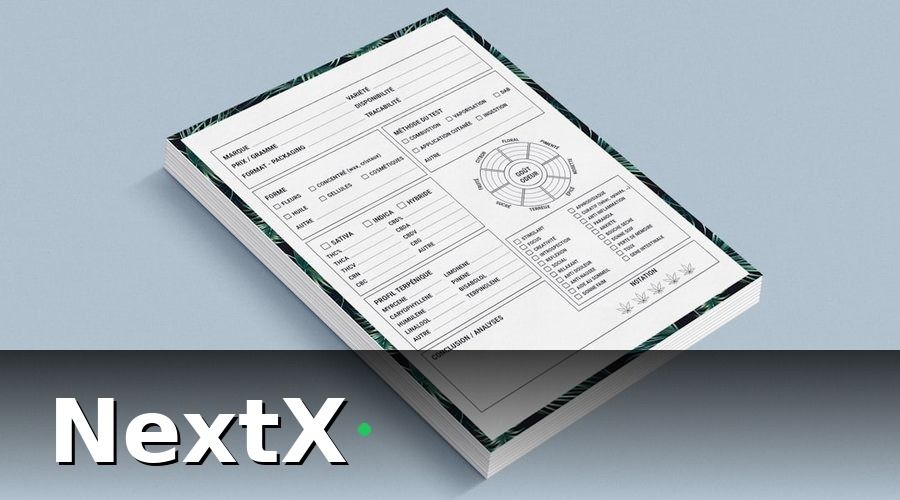 NextX — Tại sao đo lường CSKH là bước không thể bỏ qua?