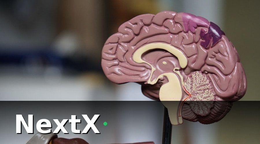 NextX — Tại sao Gamification Lại Hiệu quả đến vậy?